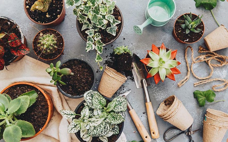 بهترین خاک برای گلدان The best soil for pots مجموعه تولیدی سیدوس ,تولید کننده گلدان پلاستیکی سیدوس ,بیش از 120نوع, اعم از گلدان استوانه ای پلاستیکی سیدوس,گلدان الماسی پلاستیکی سیدوس,گلدان مربعی پلاستیکی,گلدان مثلثی پلاستیکی,گلدان گرد پلاستیکی ,باکس مستطیلی,در اندازه های کاکتوسی تا درختچه ای