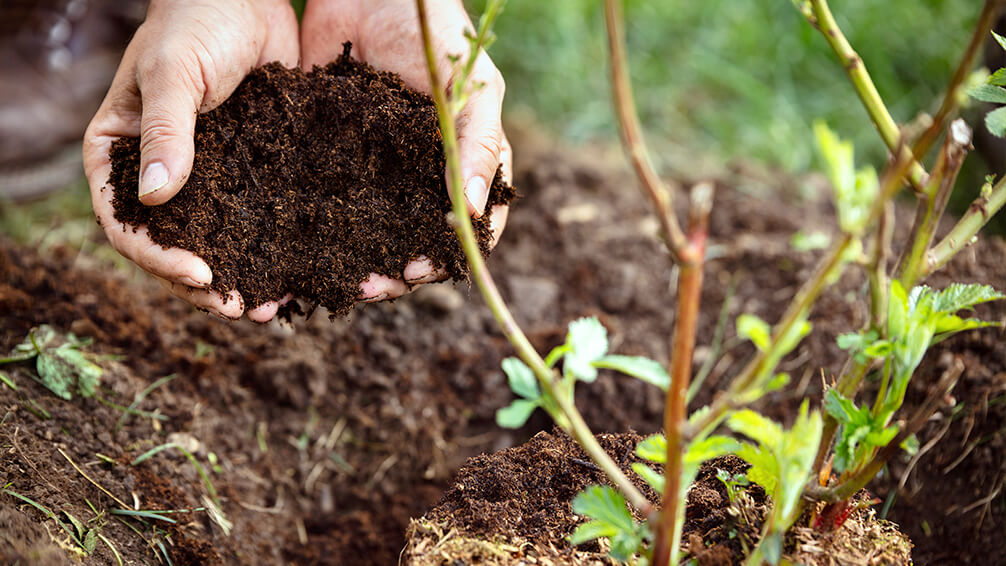 خواص ورمی کمپوست چیست؟What are the properties of vermicompost? مجموعه تولیدی سیدوس ,تولید کننده گلدان پلاستیکی سیدوس ,بیش از 120نوع, اعم از گلدان استوانه ای پلاستیکی سیدوس,گلدان الماسی پلاستیکی سیدوس,گلدان مربعی پلاستیکی,گلدان مثلثی پلاستیکی,گلدان گرد پلاستیکی ,باکس مستطیلی,در اندازه های کاکتوسی تا درختچه ای