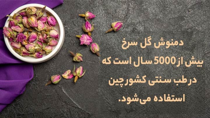 چای گلسرخ و 13خاصیت دمنوش آن Rosehip tea and its 13 properties مجموعه تولیدی سیدوس ,تولید کننده گلدان پلاستیکی سیدوس