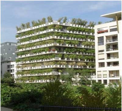 زیباترین دیوارهای سبز دنیاThe most beautiful
 green walls in the world
گلدان پلاستیکی  Plastic pot,  plastic vase مجموعه تولیدی سیدوس ,تولید کننده گلدان پلاستیکی سیدوس ,بیش از 120نوع, اعم از گلدان استوانه ای پلاستیکی سیدوس,گلدان الماسی پلاستیکی سیدوس,گلدان مربعی پلاستیکی,گلدان مثلثی پلاستیکی,گلدان گرد پلاستیکی ,باکس مستطیلی,در اندازه های کاکتوسی تا درختچه ای