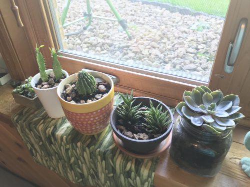 ساکولنت ها وکاکتوس ها Succulents and cacti
مجموعه تولیدی سیدوس ,تولید کننده گلدان پلاستیکی سیدوس ,بیش از 120نوع, اعم از گلدان استوانه ای پلاستیکی سیدوس,گلدان الماسی پلاستیکی سیدوس,گلدان مربعی پلاستیکی,گلدان مثلثی پلاستیکی,گلدان گرد پلاستیکی ,باکس مستطیلی,در اندازه های کاکتوسی تا درختچه ای