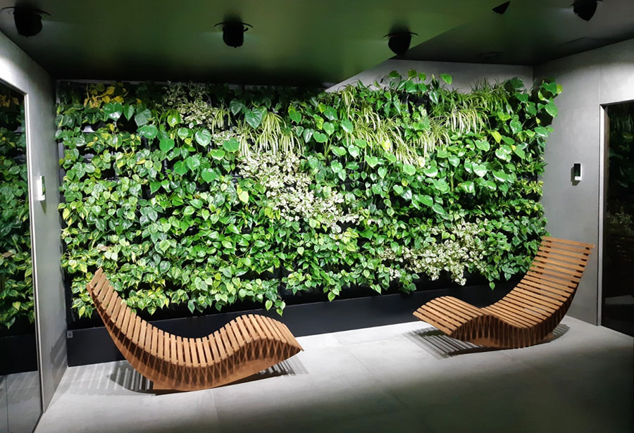 دیوار سبز وبهترین ایده برای اجرای آن Green wall and the best idea for its implementation مجموعه تولیدی سیدوس ,تولید کننده گلدان پلاستیکی سیدوس ,بیش از 120نوع, اعم از گلدان استوانه ای پلاستیکی سیدوس,گلدان الماسی پلاستیکی سیدوس,گلدان مربعی پلاستیکی,گلدان مثلثی پلاستیکی,گلدان گرد پلاستیکی ,باکس مستطیلی,در اندازه های کاکتوسی تا درختچه ای