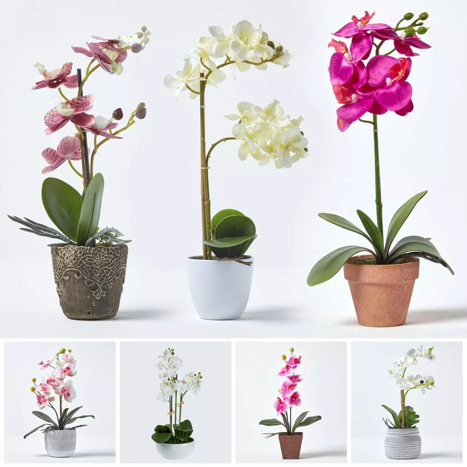 گل ارکیده خالدار (Common Spotted Orchid)نام علمی: (Dactylorhize fuchsia)