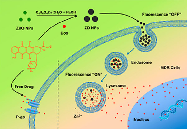 نانو چیست وچه کاربردی دارد؟What is nano and what is its application? مجموعه تولیدی سیدوس ,تولید کننده گلدان پلاستیکی سیدوس ,بیش از 120نوع, اعم از گلدان استوانه ای پلاستیکی سیدوس,گلدان الماسی پلاستیکی سیدوس,گلدان مربعی پلاستیکی,گلدان مثلثی پلاستیکی,گلدان گرد پلاستیکی ,باکس مستطیلی,در اندازه های کاکتوسی تا درختچه ای