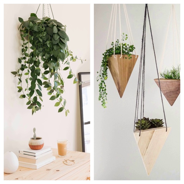 Hanging plants make گیاهان آویزی,منزل شما را سبزتر می‌کنند Hanging plants make your home greener مجموعه تولیدی سیدوس تولید کننده گلدان پلاستیکی اعم از گلدان استوانه ای وگلدان الماسی,گلدان باکس ,و... با بیش از 120مدل گلدان پلاستیکی سیدوسyour home greener