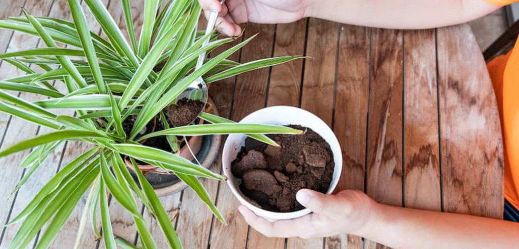 تفاله قهوه ومزایای آن برای گیاهان Coffee grounds and their benefits for plants گلدان پلاستیکی Plastic pot, plastic vase مجموعه تولیدی سیدوس ,تولید کننده گلدان پلاستیکی سیدوس ,بیش از 120نوع, اعم از گلدان استوانه ای پلاستیکی سیدوس,گلدان الماسی پلاستیکی سیدوس,گلدان مربعی پلاستیکی,گلدان مثلثی پلاستیکی,گلدان گرد پلاستیکی ,باکس مستطیلی,در اندازه های کاکتوسی تا درختچه ای