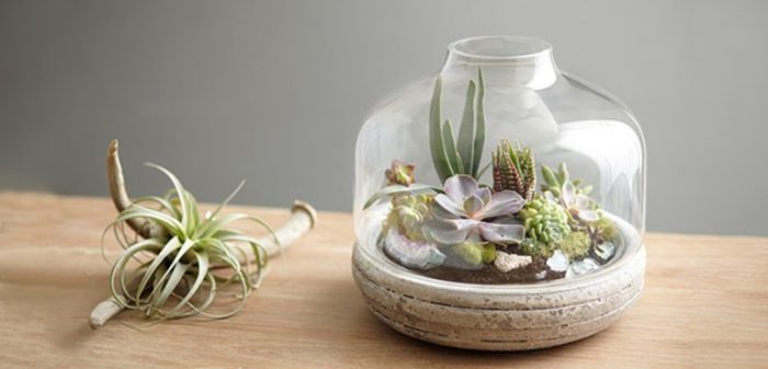 تراریوم ( Terrarium ) کلمه ای لاتین تشکیل شده از دو قسمت Terra به معنی خاک و زمین و Rium به معنی پسوند مکان است و می‌توان این عبارت را به نمایشگاه جانداران خشکی ترجمه کردگلدان پلاستیکی  Plastic pot,  plastic vase مجموعه تولیدی سیدوس ,تولید کننده گلدان پلاستیکی سیدوس ,بیش از 120نوع, اعم از گلدان استوانه ای پلاستیکی سیدوس,گلدان الماسی پلاستیکی سیدوس,گلدان مربعی پلاستیکی,گلدان مثلثی پلاستیکی,گلدان گرد پلاستیکی ,باکس مستطیلی,در اندازه های کاکتوسی تا درختچه ای