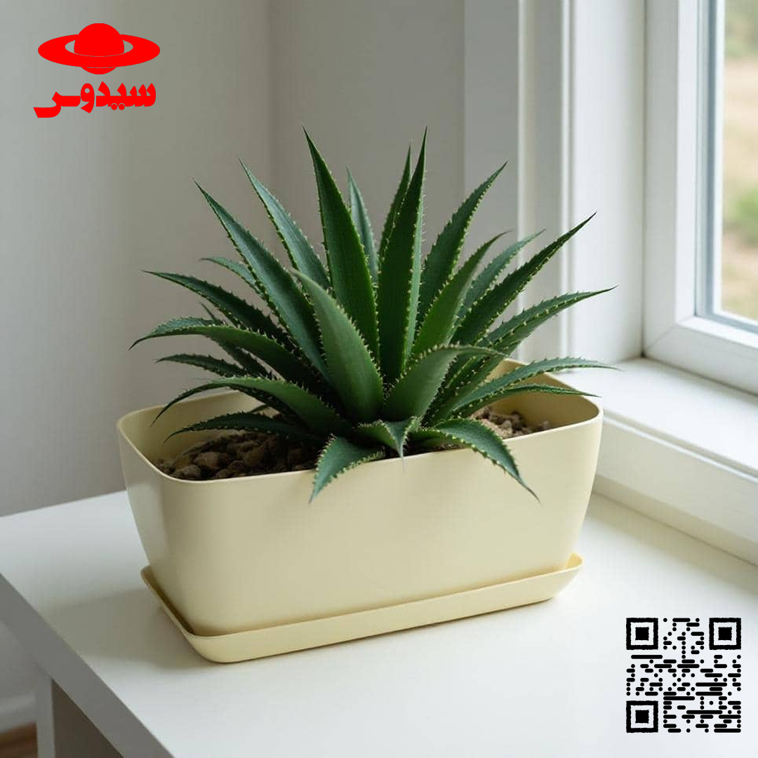 مبارزه با آفات و بیماری‌های گیاهان آپارتمانیFighting pests and diseases of houseplants
گلدان پلاستیکی  Plastic pot,  plastic vase مجموعه تولیدی سیدوس ,تولید کننده گلدان پلاستیکی سیدوس ,بیش از 120نوع, اعم از گلدان استوانه ای پلاستیکی سیدوس,گلدان الماسی پلاستیکی سیدوس,گلدان مربعی پلاستیکی,گلدان مثلثی پلاستیکی,گلدان گرد پلاستیکی ,باکس مستطیلی,در اندازه های کاکتوسی تا درختچه ای