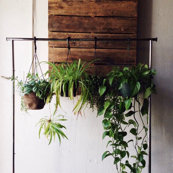 گیاهان آویزی,منزل شما را سبزتر می‌کنندHanging plants make your home greener
مجموعه تولیدی سیدوس تولید کننده گلدان پلاستیکی اعم از گلدان استوانه ای وگلدان الماسی,گلدان باکس ,و... با بیش از 120مدل گلدان پلاستیکی سیدوس