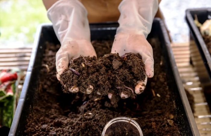 ورمی کمپوست وبهترین زمان مصرف آن برای رشدگیاهانVermicompost and the best time to use it for plant growth
مجموعه تولیدی سیدوس ,تولید کننده گلدان پلاستیکی سیدوس ,بیش از 120نوع, اعم از گلدان استوانه ای پلاستیکی سیدوس,گلدان الماسی پلاستیکی سیدوس,گلدان مربعی پلاستیکی,گلدان مثلثی پلاستیکی,گلدان گرد پلاستیکی ,باکس مستطیلی,در اندازه های کاکتوسی تا درختچه ای