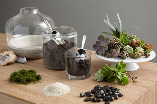 تراریوم ( Terrarium ) کلمه ای لاتین تشکیل شده از دو قسمت Terra به معنی خاک و زمین و Rium به معنی پسوند مکان است و می‌توان این عبارت را به نمایشگاه جانداران خشکی ترجمه کردگلدان پلاستیکی  Plastic pot,  plastic vase مجموعه تولیدی سیدوس ,تولید کننده گلدان پلاستیکی سیدوس ,بیش از 120نوع, اعم از گلدان استوانه ای پلاستیکی سیدوس,گلدان الماسی پلاستیکی سیدوس,گلدان مربعی پلاستیکی,گلدان مثلثی پلاستیکی,گلدان گرد پلاستیکی ,باکس مستطیلی,در اندازه های کاکتوسی تا درختچه ای