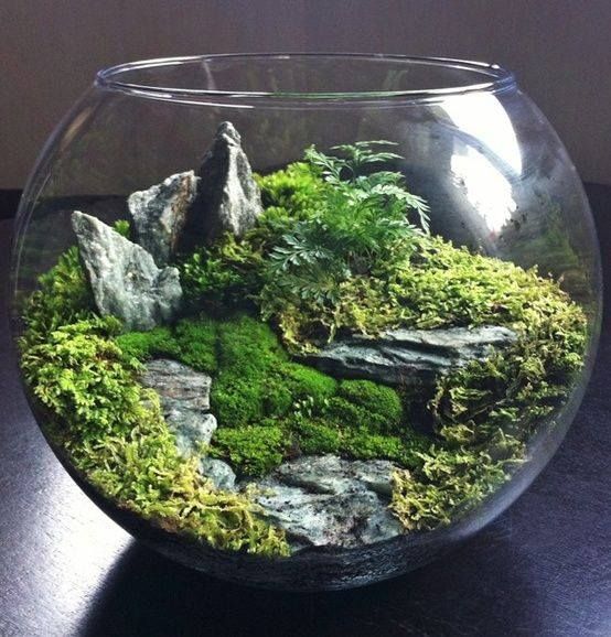 تراریوم (16ایده خلاقانه ) Terrarium (16 creative ideas) مجموعه تولیدی سیدوس ,تولید کننده گلدان پلاستیکی سیدوس ,بیش از 120نوع, اعم از گلدان استوانه ای پلاستیکی سیدوس,گلدان الماسی پلاستیکی سیدوس,گلدان مربعی پلاستیکی,گلدان مثلثی پلاستیکی,گلدان گرد پلاستیکی ,باکس مستطیلی,در اندازه های کاکتوسی تا درختچه ای