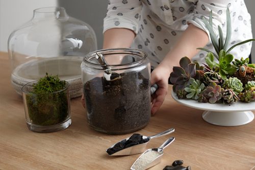 تراریوم ( Terrarium ) کلمه ای لاتین تشکیل شده از دو قسمت Terra به معنی خاک و زمین و Rium به معنی پسوند مکان است و می‌توان این عبارت را به نمایشگاه جانداران خشکی ترجمه کردگلدان پلاستیکی  Plastic pot,  plastic vase مجموعه تولیدی سیدوس ,تولید کننده گلدان پلاستیکی سیدوس ,بیش از 120نوع, اعم از گلدان استوانه ای پلاستیکی سیدوس,گلدان الماسی پلاستیکی سیدوس,گلدان مربعی پلاستیکی,گلدان مثلثی پلاستیکی,گلدان گرد پلاستیکی ,باکس مستطیلی,در اندازه های کاکتوسی تا درختچه ای