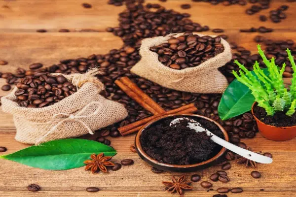 تفاله قهوه ومزایای آن برای گیاهان Coffee grounds and their benefits for plants گلدان پلاستیکی Plastic pot, plastic vase مجموعه تولیدی سیدوس ,تولید کننده گلدان پلاستیکی سیدوس ,بیش از 120نوع, اعم از گلدان استوانه ای پلاستیکی سیدوس,گلدان الماسی پلاستیکی سیدوس,گلدان مربعی پلاستیکی,گلدان مثلثی پلاستیکی,گلدان گرد پلاستیکی ,باکس مستطیلی,در اندازه های کاکتوسی تا درختچه ای