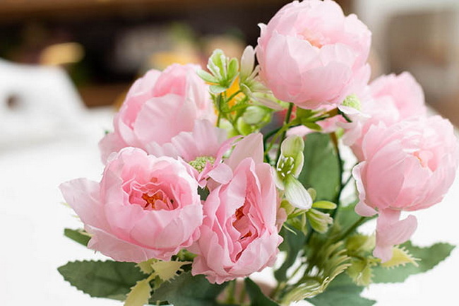 گل پیونی(Paeonia) در گلدان پلاستیکی سیدوس Peony (Paeonia) in a plastic pot from Sidoos مجموعه تولیدی سیدوس ,تولید کننده گلدان پلاستیکی سیدوس ,بیش از 120نوع, اعم از گلدان استوانه ای پلاستیکی سیدوس,گلدان الماسی پلاستیکی سیدوس,گلدان مربعی پلاستیکی,گلدان مثلثی پلاستیکی,گلدان گرد پلاستیکی ,باکس مستطیلی,در اندازه های کاکتوسی تا درختچه ای