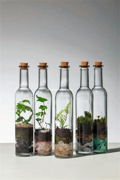 تراریوم (16ایده خلاقانه ) Terrarium (16 creative ideas) مجموعه تولیدی سیدوس ,تولید کننده گلدان پلاستیکی سیدوس ,بیش از 120نوع, اعم از گلدان استوانه ای پلاستیکی سیدوس,گلدان الماسی پلاستیکی سیدوس,گلدان مربعی پلاستیکی,گلدان مثلثی پلاستیکی,گلدان گرد پلاستیکی ,باکس مستطیلی,در اندازه های کاکتوسی تا درختچه ای