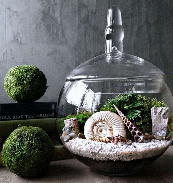 تراریوم (16ایده خلاقانه ) Terrarium (16 creative ideas) مجموعه تولیدی سیدوس ,تولید کننده گلدان پلاستیکی سیدوس ,بیش از 120نوع, اعم از گلدان استوانه ای پلاستیکی سیدوس,گلدان الماسی پلاستیکی سیدوس,گلدان مربعی پلاستیکی,گلدان مثلثی پلاستیکی,گلدان گرد پلاستیکی ,باکس مستطیلی,در اندازه های کاکتوسی تا درختچه ای