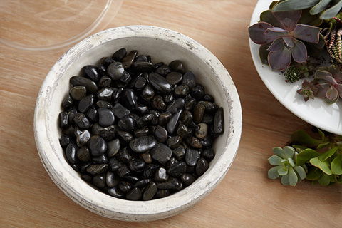 تراریوم ( Terrarium ) کلمه ای لاتین تشکیل شده از دو قسمت Terra به معنی خاک و زمین و Rium به معنی پسوند مکان است و می‌توان این عبارت را به نمایشگاه جانداران خشکی ترجمه کردگلدان پلاستیکی  Plastic pot,  plastic vase مجموعه تولیدی سیدوس ,تولید کننده گلدان پلاستیکی سیدوس ,بیش از 120نوع, اعم از گلدان استوانه ای پلاستیکی سیدوس,گلدان الماسی پلاستیکی سیدوس,گلدان مربعی پلاستیکی,گلدان مثلثی پلاستیکی,گلدان گرد پلاستیکی ,باکس مستطیلی,در اندازه های کاکتوسی تا درختچه ای