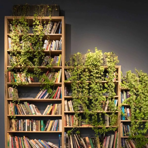 گیاهان آویزی,منزل شما را سبزتر می‌کنندHanging plants make your home greener
مجموعه تولیدی سیدوس تولید کننده گلدان پلاستیکی اعم از گلدان استوانه ای وگلدان الماسی,گلدان باکس ,و... با بیش از 120مدل گلدان پلاستیکی سیدوس