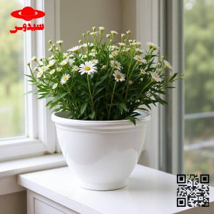 گلدان پلاستیکی گرد سیدوس(بیش از8مدل)