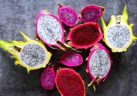 کاکتوس های میوه دارFruit-bearing cacti مجموعه تولیدی سیدوس ,تولید کننده گلدان پلاستیکی سیدوس ,بیش از 120نوع, اعم از گلدان استوانه ای پلاستیکی سیدوس,گلدان الماسی پلاستیکی سیدوس,گلدان مربعی پلاستیکی,گلدان مثلثی پلاستیکی,گلدان گرد پلاستیکی ,باکس مستطیلی,در اندازه های کاکتوسی تا درختچه ای