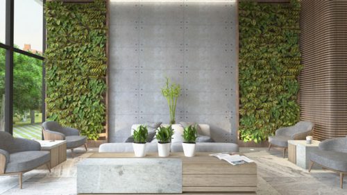 دیوار سبز  وبهترین ایده برای اجرای آنGreen wall and the best idea for its implementation
مجموعه تولیدی سیدوس ,تولید کننده گلدان پلاستیکی سیدوس ,بیش از 120نوع, اعم از گلدان استوانه ای پلاستیکی سیدوس,گلدان الماسی پلاستیکی سیدوس,گلدان مربعی پلاستیکی,گلدان مثلثی پلاستیکی,گلدان گرد پلاستیکی ,باکس مستطیلی,در اندازه های کاکتوسی تا درختچه ای