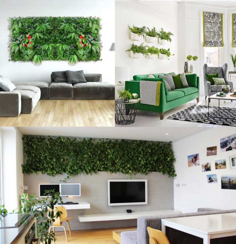 دیوار سبز  وبهترین ایده برای اجرای آنGreen wall and the best idea for its implementation
مجموعه تولیدی سیدوس ,تولید کننده گلدان پلاستیکی سیدوس ,بیش از 120نوع, اعم از گلدان استوانه ای پلاستیکی سیدوس,گلدان الماسی پلاستیکی سیدوس,گلدان مربعی پلاستیکی,گلدان مثلثی پلاستیکی,گلدان گرد پلاستیکی ,باکس مستطیلی,در اندازه های کاکتوسی تا درختچه ای