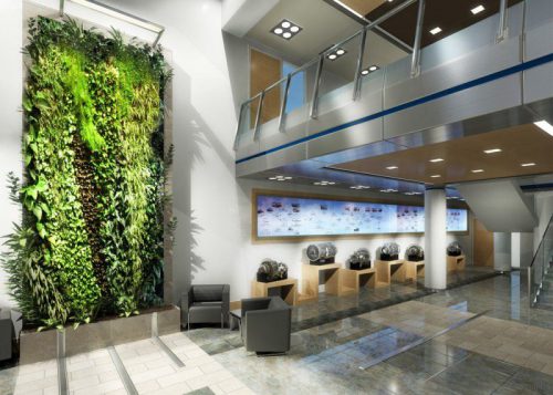 دیوار سبز  وبهترین ایده برای اجرای آنGreen wall and the best idea for its implementation
مجموعه تولیدی سیدوس ,تولید کننده گلدان پلاستیکی سیدوس ,بیش از 120نوع, اعم از گلدان استوانه ای پلاستیکی سیدوس,گلدان الماسی پلاستیکی سیدوس,گلدان مربعی پلاستیکی,گلدان مثلثی پلاستیکی,گلدان گرد پلاستیکی ,باکس مستطیلی,در اندازه های کاکتوسی تا درختچه ای
