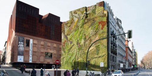 زیباترین دیوارهای سبز دنیاThe most beautiful
 green walls in the world
گلدان پلاستیکی  Plastic pot,  plastic vase مجموعه تولیدی سیدوس ,تولید کننده گلدان پلاستیکی سیدوس ,بیش از 120نوع, اعم از گلدان استوانه ای پلاستیکی سیدوس,گلدان الماسی پلاستیکی سیدوس,گلدان مربعی پلاستیکی,گلدان مثلثی پلاستیکی,گلدان گرد پلاستیکی ,باکس مستطیلی,در اندازه های کاکتوسی تا درختچه ای