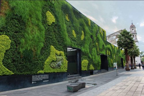 زیباترین دیوارهای سبز دنیاThe most beautiful
 green walls in the world
گلدان پلاستیکی  Plastic pot,  plastic vase مجموعه تولیدی سیدوس ,تولید کننده گلدان پلاستیکی سیدوس ,بیش از 120نوع, اعم از گلدان استوانه ای پلاستیکی سیدوس,گلدان الماسی پلاستیکی سیدوس,گلدان مربعی پلاستیکی,گلدان مثلثی پلاستیکی,گلدان گرد پلاستیکی ,باکس مستطیلی,در اندازه های کاکتوسی تا درختچه ای