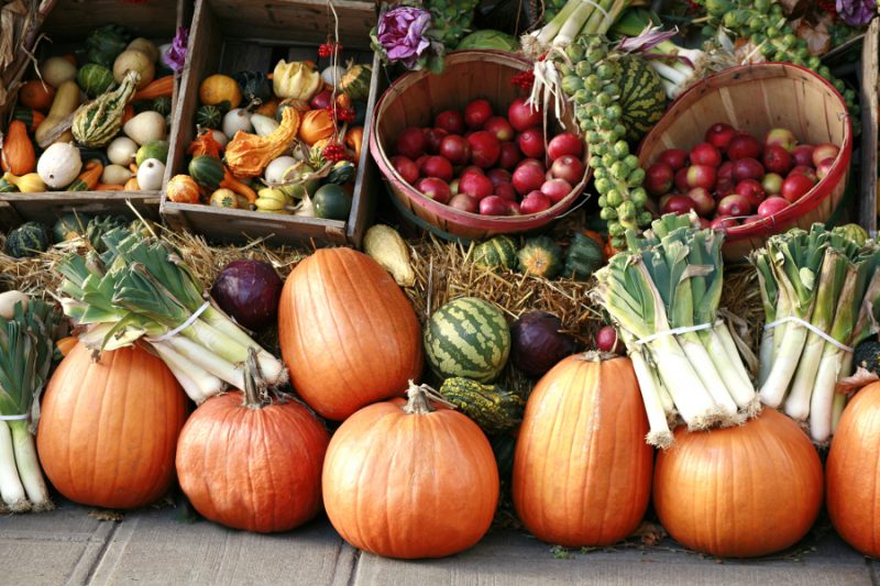 فصل پاییز و آنچه باید کاشتAutumn and what to plant مجموعه تولیدی سیدوس ,تولید کننده گلدان پلاستیکی سیدوس ,بیش از 120نوع, اعم از گلدان استوانه ای پلاستیکی سیدوس,گلدان الماسی پلاستیکی سیدوس,گلدان مربعی پلاستیکی,گلدان مثلثی پلاستیکی,گلدان گرد پلاستیکی ,باکس مستطیلی,در اندازه های کاکتوسی تا درختچه ای