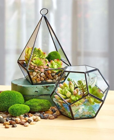 تراریوم (16ایده خلاقانه ) Terrarium (16 creative ideas) مجموعه تولیدی سیدوس ,تولید کننده گلدان پلاستیکی سیدوس ,بیش از 120نوع, اعم از گلدان استوانه ای پلاستیکی سیدوس,گلدان الماسی پلاستیکی سیدوس,گلدان مربعی پلاستیکی,گلدان مثلثی پلاستیکی,گلدان گرد پلاستیکی ,باکس مستطیلی,در اندازه های کاکتوسی تا درختچه ای تدوین:مینو غفوری ساداتیه آدرس اینستاگرام:gooldono.stand.sidoos@ تلفن:09308743868