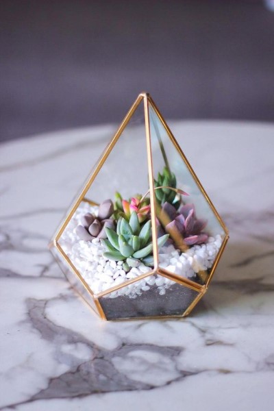 تراریوم (16ایده خلاقانه )Terrarium (16 creative ideas) مجموعه تولیدی سیدوس ,تولید کننده گلدان پلاستیکی سیدوس ,بیش از 120نوع, اعم از گلدان استوانه ای پلاستیکی سیدوس,گلدان الماسی پلاستیکی سیدوس,گلدان مربعی پلاستیکی,گلدان مثلثی پلاستیکی,گلدان گرد پلاستیکی ,باکس مستطیلی,در اندازه های کاکتوسی تا درختچه ای