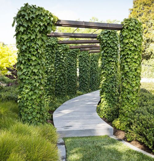 باغ کوچک خود را به راهرو محل زندگیتان ببرید.Bring your small garden into your hallway. مجموعه تولیدی سیدوس ,تولید کننده گلدان پلاستیکی سیدوس ,بیش از 120نوع, اعم از گلدان استوانه ای پلاستیکی سیدوس,گلدان الماسی پلاستیکی سیدوس,گلدان مربعی پلاستیکی,گلدان مثلثی پلاستیکی,گلدان گرد پلاستیکی ,باکس مستطیلی,در اندازه های کاکتوسی تا درختچه ای