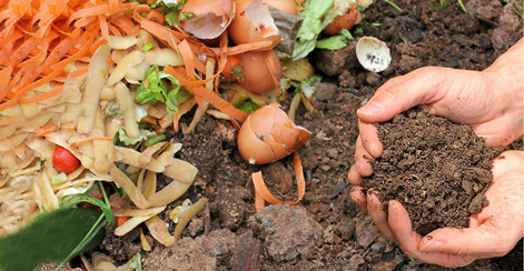 خواص ورمی کمپوست چیست؟What are the properties of vermicompost? مجموعه تولیدی سیدوس ,تولید کننده گلدان پلاستیکی سیدوس ,بیش از 120نوع, اعم از گلدان استوانه ای پلاستیکی سیدوس,گلدان الماسی پلاستیکی سیدوس,گلدان مربعی پلاستیکی,گلدان مثلثی پلاستیکی,گلدان گرد پلاستیکی ,باکس مستطیلی,در اندازه های کاکتوسی تا درختچه ای