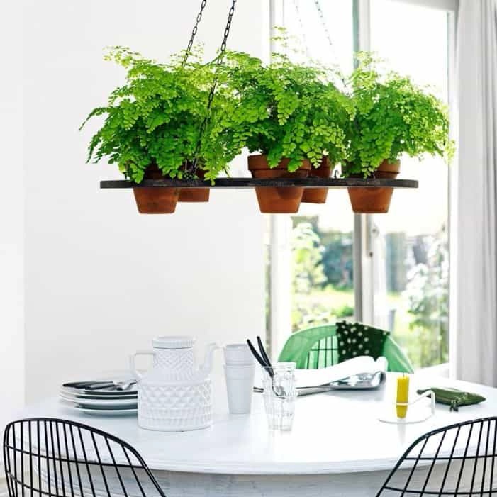 گیاهان آویزی,منزل شما را سبزتر می‌کنندHanging plants make your home greener
مجموعه تولیدی سیدوس تولید کننده گلدان پلاستیکی اعم از گلدان استوانه ای وگلدان الماسی,گلدان باکس ,و... با بیش از 120مدل گلدان پلاستیکی سیدوس