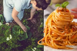 آب ماکارونی برای آبیاری کاکتوس و ساکولنت Pasta water for watering cacti and succulents مجموعه تولیدی سیدوس ,تولید کننده گلدان پلاستیکی سیدوس ,بیش از 120نوع, اعم از گلدان استوانه ای پلاستیکی سیدوس,گلدان الماسی پلاستیکی سیدوس,گلدان مربعی پلاستیکی,گلدان مثلثی پلاستیکی,گلدان گرد پلاستیکی ,باکس مستطیلی,در اندازه های کاکتوسی تا درختچه ای
