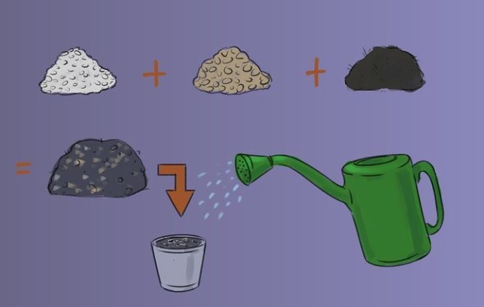 ریحان وکاشت این سبزی خوش عطر Basil and planting this fragrant herb مجموعه تولیدی سیدوس ,تولید کننده گلدان پلاستیکی سیدوس ,بیش از 120نوع, اعم از گلدان استوانه ای پلاستیکی سیدوس,گلدان الماسی پلاستیکی سیدوس,گلدان مربعی پلاستیکی,گلدان مثلثی پلاستیکی,گلدان گرد پلاستیکی ,باکس مستطیلی,در اندازه های کاکتوسی تا درختچه ای
