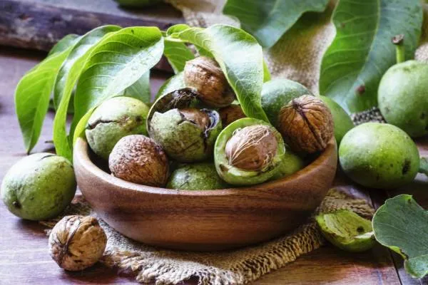 گیاهان در دسترس برای تولید رنگ موی طبیعیPlants available for producing natural hair dye
 مجموعه تولیدی سیدوس ,تولید کننده گلدان پلاستیکی سیدوس ,بیش از 120نوع, اعم از گلدان استوانه ای پلاستیکی سیدوس,گلدان الماسی پلاستیکی سیدوس,گلدان مربعی پلاستیکی,گلدان مثلثی پلاستیکی,گلدان گرد پلاستیکی ,باکس مستطیلی,در اندازه های کاکتوسی تا درختچه ای