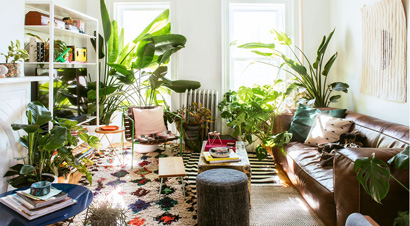 Plants and feng shui and 7 plants suitable for feng shui