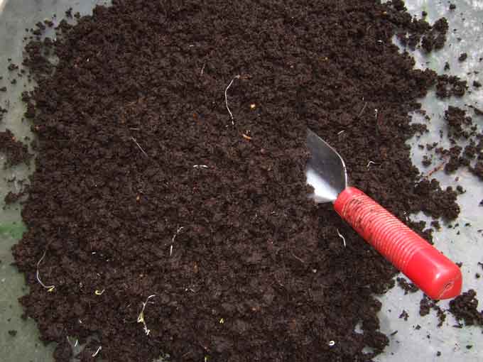 خواص ورمی کمپوست چیست؟ What are the properties of vermicompost? مجموعه تولیدی سیدوس ,تولید کننده گلدان پلاستیکی سیدوس ,بیش از 120نوع, اعم از گلدان استوانه ای پلاستیکی سیدوس,گلدان الماسی پلاستیکی سیدوس,گلدان مربعی پلاستیکی,گلدان مثلثی پلاستیکی,گلدان گرد پلاستیکی ,باکس مستطیلی,در اندازه های کاکتوسی تا درختچه ای