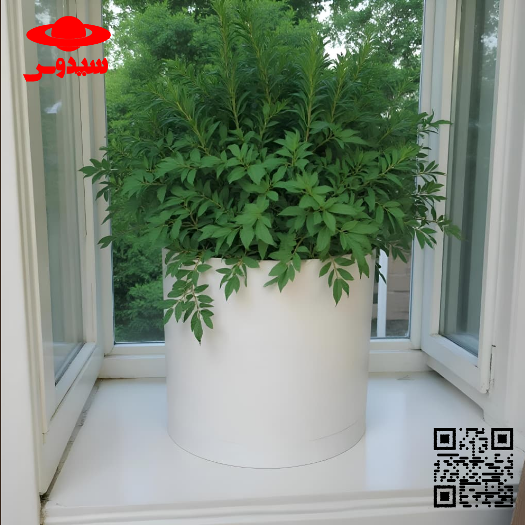 نگهداری گیاهان آپارتمانی وخواص شگفت انگیز آنCaring for houseplants and their amazing properties
گلدان پلاستیکی  Plastic pot,  plastic vase مجموعه تولیدی سیدوس ,تولید کننده گلدان پلاستیکی سیدوس ,بیش از 120نوع, اعم از گلدان استوانه ای پلاستیکی سیدوس,گلدان الماسی پلاستیکی سیدوس,گلدان مربعی پلاستیکی,گلدان مثلثی پلاستیکی,گلدان گرد پلاستیکی ,باکس مستطیلی,در اندازه های کاکتوسی تا درختچه ای