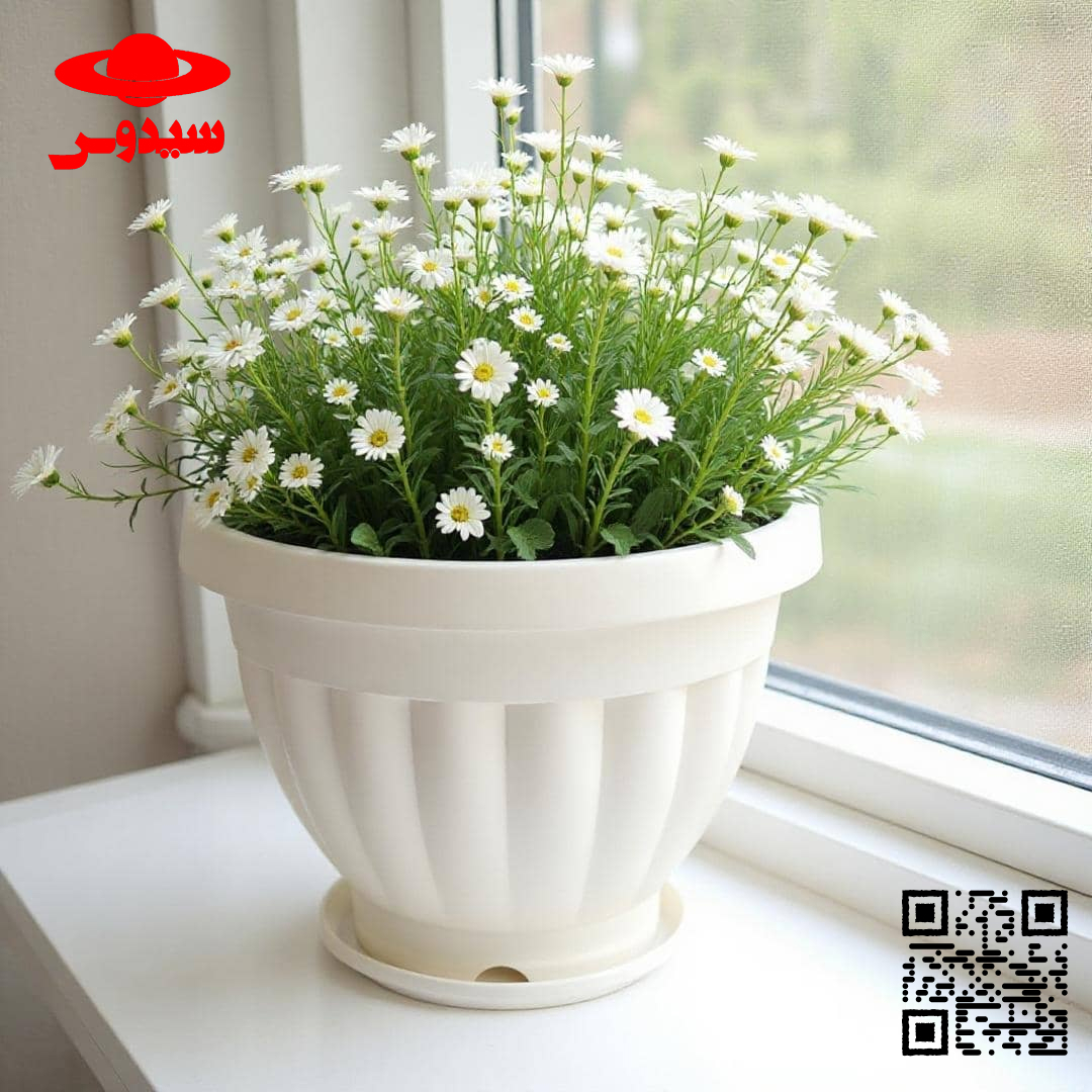 نگهداری گیاهان آپارتمانی وخواص شگفت انگیز آنCaring for houseplants and their amazing properties
گلدان پلاستیکی  Plastic pot,  plastic vase مجموعه تولیدی سیدوس ,تولید کننده گلدان پلاستیکی سیدوس ,بیش از 120نوع, اعم از گلدان استوانه ای پلاستیکی سیدوس,گلدان الماسی پلاستیکی سیدوس,گلدان مربعی پلاستیکی,گلدان مثلثی پلاستیکی,گلدان گرد پلاستیکی ,باکس مستطیلی,در اندازه های کاکتوسی تا درختچه ای
