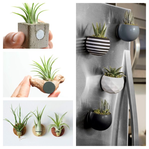 گیاهان آویزی,منزل شما را سبزتر می‌کنندHanging plants make your home greener
مجموعه تولیدی سیدوس تولید کننده گلدان پلاستیکی اعم از گلدان استوانه ای وگلدان الماسی,گلدان باکس ,و... با بیش از 120مدل گلدان پلاستیکی سیدوس